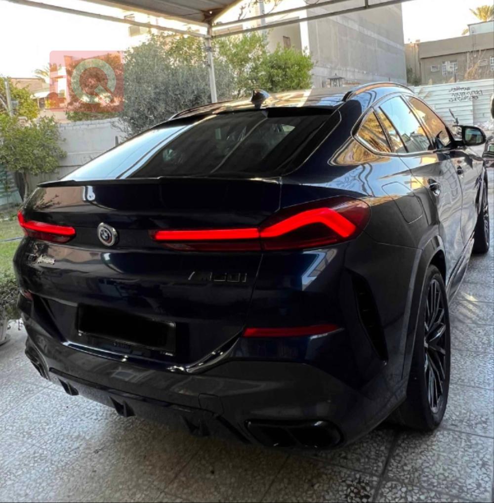 BMW X6